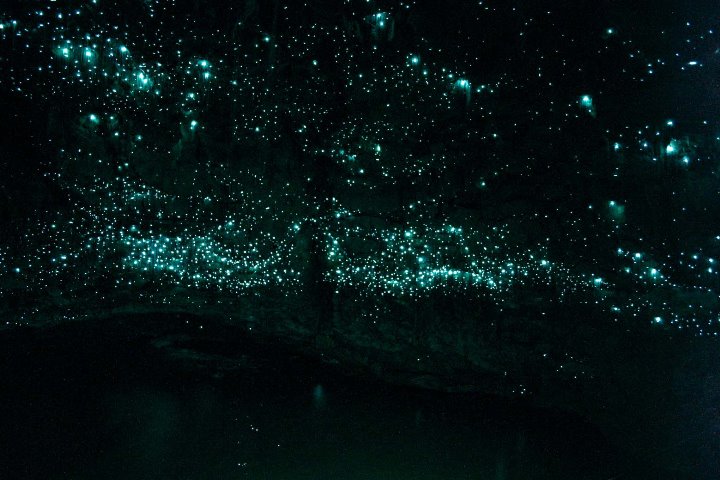 Пещеры Светлячков в Новой Зеландии