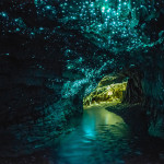 Waitomo Caves 1